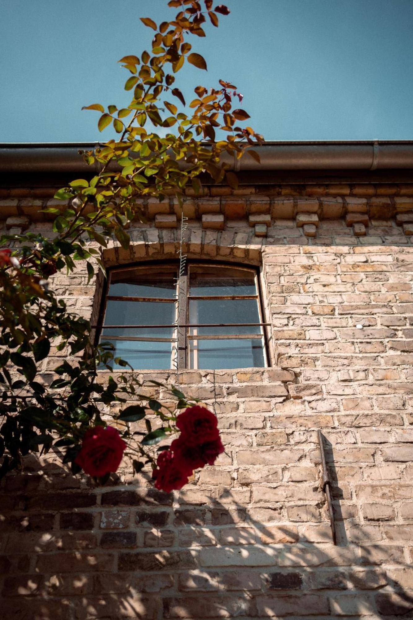 Thomashof Klein-Mutz Apartment Zehdenick Exterior foto